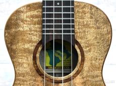 Big Island U-MO-CTS 【コンサート/ハワイアンマンゴー】【24回金利0%対象】【送料込】_6