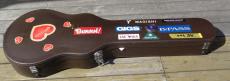 Ibanez AR-300_8