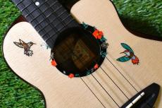aNueNue UC200HB Concert