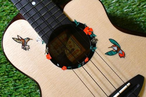 aNueNue UC200HB Concert