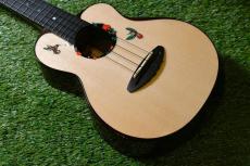 aNueNue UC200HB Concert_2
