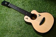 aNueNue UC200HB Concert_3