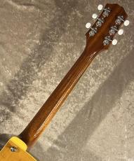 KING SNAKE 【NEW】Dizzy Amber Natural sn DZ-002 [2.29kg]【G-CLUB TOKYO】_8