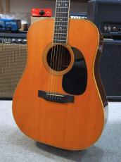 Martin D-35 1969年製【ハカランダ】
