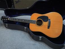 Martin D-35 1969年製【ハカランダ】_2