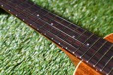 aNueNue AAA1 Soprano_7