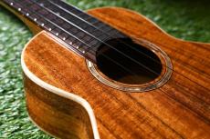 aNueNue AAA1 Soprano_11
