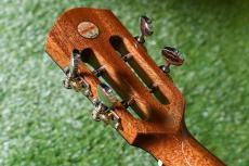 aNueNue AAA3 Tenor_6