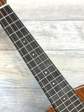 Big Island KT-CTS 【コンサート/ハワイアンコア】【トラディショナルシリーズ】【24回金利0%対象】【送料込】_7