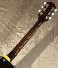 KING SNAKE 【NEW】Dizzy Sunburst  sn DZ-007 [2.27kg]【G-CLUB TOKYO】_8