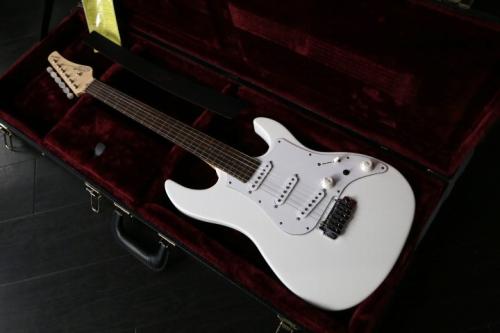 FUJIGEN EXPERT-OS/AL  MATTE  WHITE ハカランダ指板　Bare Knuckle The Mother's Milk PU