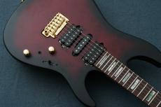 Ibanez KIKO300 -Ruby Red Sunburst Flat / RRT- #F2528881_7