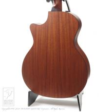 Taylor 314ce Japan LTD_3