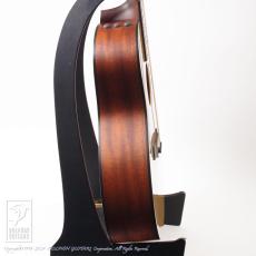 Taylor 314ce Japan LTD_5