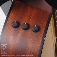 Taylor 314ce Japan LTD_7