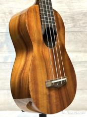 Big Island KT-SPS 【ソプラノ/ハワイアンコア】【トラディショナルシリーズ】【20回金利0%対象】【送料込】_3