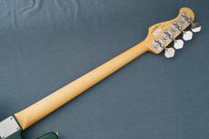 FUJIGEN NJB100RAL -CandyAppleGreen-【4.22kg】【Made in Japan】_11