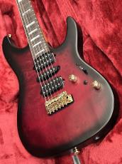 Ibanez KIKO300【Martin Miller Signature Model】入荷しました!