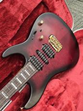 Ibanez KIKO300【Martin Miller Signature Model】入荷しました!_2