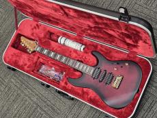Ibanez KIKO300【Martin Miller Signature Model】入荷しました!_3