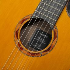 YAMAHA NCX3C NT【アウトレット特価】【エレガット】【オール単板】_3