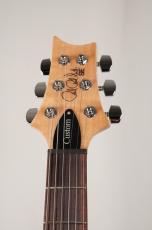 Paul Reed Smith [PRS] SE Custom 24 -Blue Fade- 【3.49kg】_9