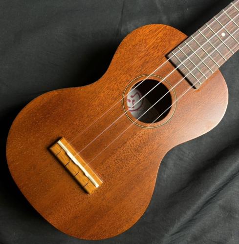 Famous FS-6CST