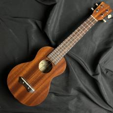 ARIA AU-2L