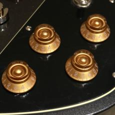 Baum Guitars Backwing, Dark Moon_7