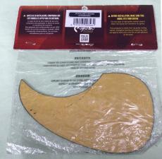 Righton! STRAPS PICKGUARD-A BROWN 【1点限りのSpecial Price!!】_2