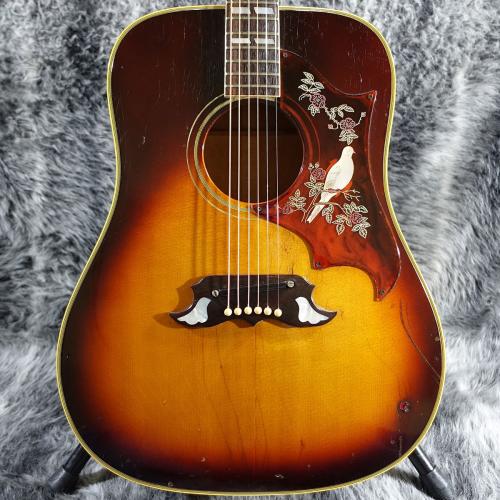 Gibson Dove Sunburst 1969