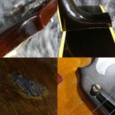 Gibson Dove Sunburst 1969_10