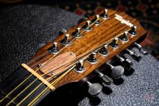 Taylor 356ce Lefty / 2014_2