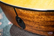 Taylor 356ce Lefty / 2014_3