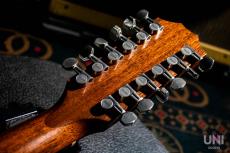 Taylor 356ce Lefty / 2014_4