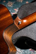 Taylor 356ce Lefty / 2014_5