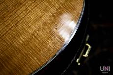 Taylor 356ce Lefty / 2014_8