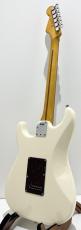 Fender American Professional II Stratocaster, Rosewood / Olympic White_7