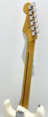 Fender American Professional II Stratocaster, Rosewood / Olympic White_8