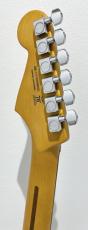 Fender American Professional II Stratocaster, Rosewood / Olympic White_9