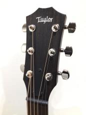 Taylor AD24ce_3