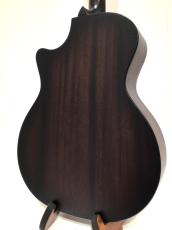 Taylor AD24ce_5