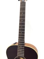 Taylor AD12e-SB_4