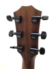 Taylor AD12e-SB_7