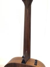 Taylor AD12e-SB_8