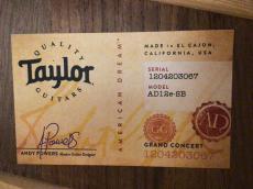 Taylor AD12e-SB_9