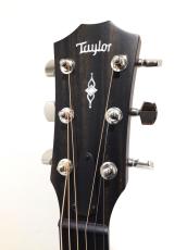 Taylor 312ce_3