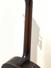 Taylor Custom GPe Lutz Spruce / Figured Urban Ash_8