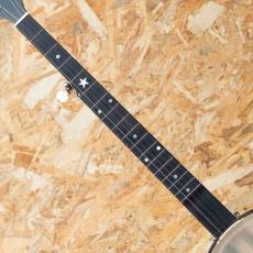 Bart Reiter Special Openback Banjo 2019_6