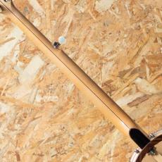 Bart Reiter Special Openback Banjo 2019_7